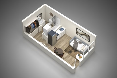 Floor plan for studio, 1 bath, 315 sqft